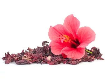 Hibiszkusz