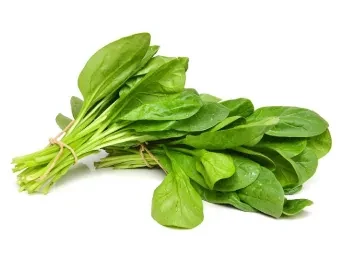 Spenót