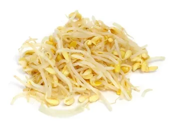 Szójababcsíra