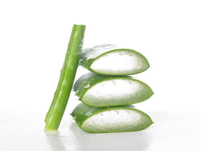 Az Aloe Vera tápanyagokban gazdag, kevés kalóriát tartalmaz, és könnyen emészthető.