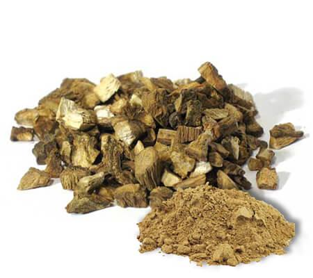 Burdock