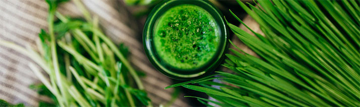 Magas klorofill tartalmú növények