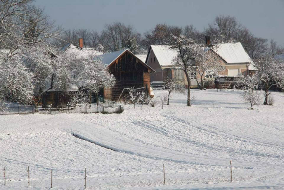 Őrség télen