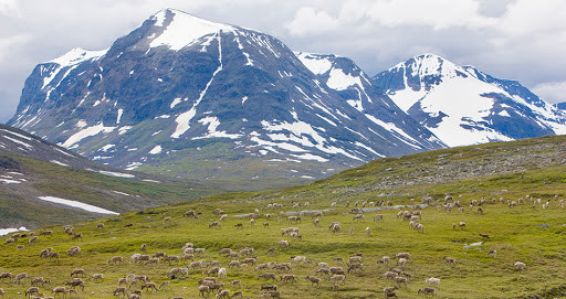 Svédország – A Sarek Nemzeti Park