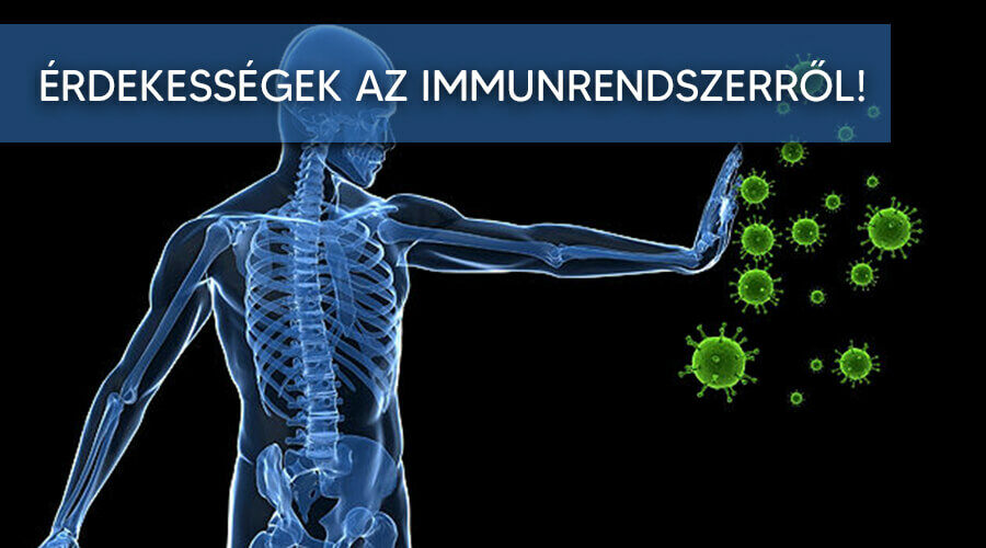 Mi is az az immunrendszer, mit kell róla tudni?