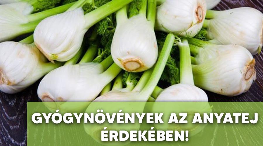 Gyógynövények az anyatej érdekében.