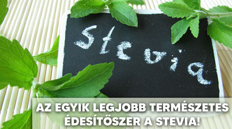 A stevia a cukorbetegség kezelésére. Érdemes elolvasni
