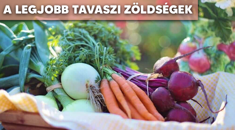 Így válassz tavasszal zöldságet