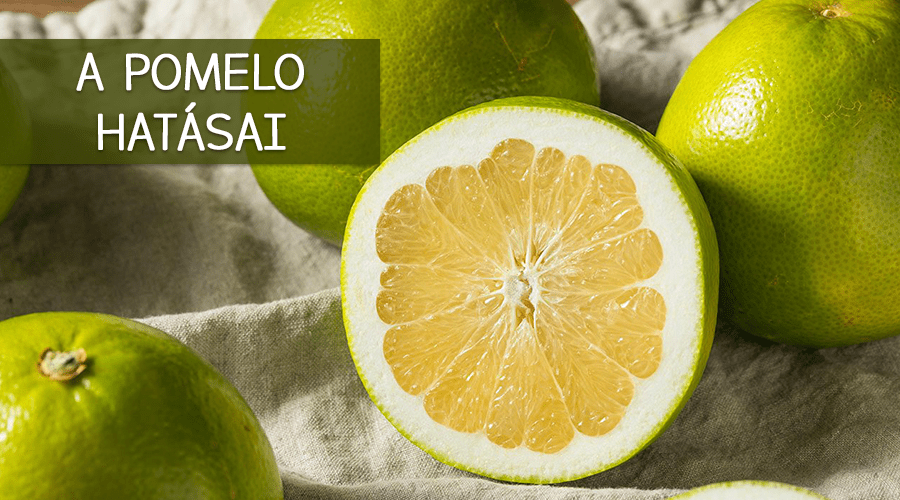 A malájok különleges gyümölcse a pomelo. Ismerd meg ezt a csodálatos gyümölcsöt.