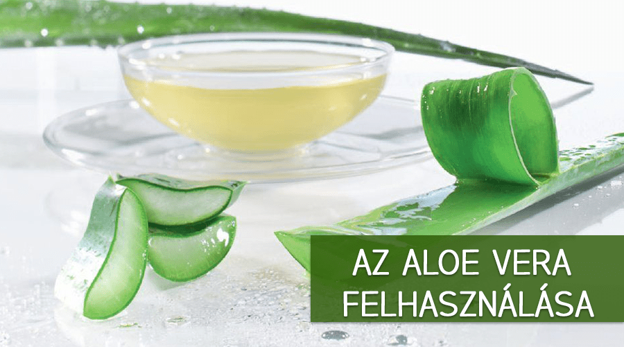 Az aloe vera felhasználása. A növény frissen levágott leveléből nyerik. A gélt meg lehet inni, rengeteg jótékony hatást kifejtve ezáltal.