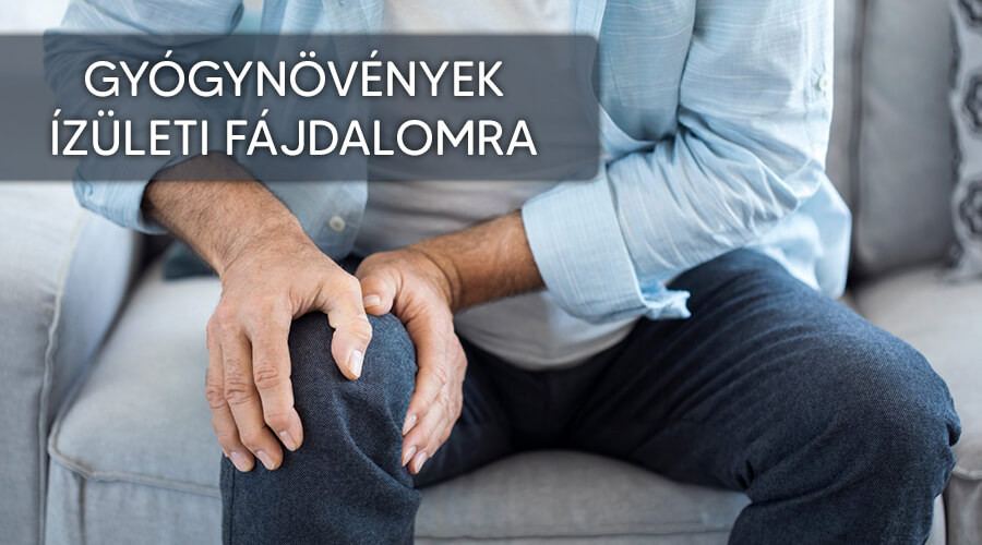 Ezek a leghatásosabb gyógynövények ízületi fájdalomra
