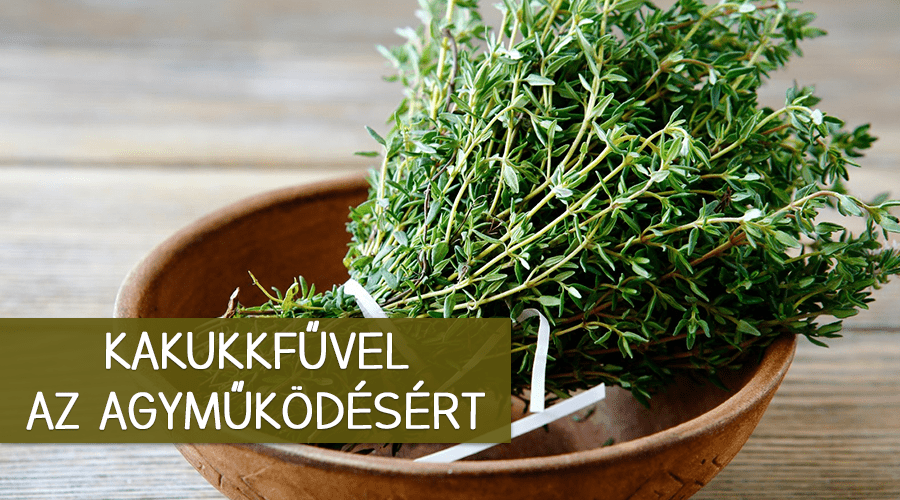 Kakukkfűvel a jó agyműködés megőrzésére! A kakukkfűben található illóolajak növelik az omega-3 zsírsavak szintjét az agyban, és ez azért fontos, mert az omega-3 zsírsavak védik az agyat az időskori romlástól és elmezavartól, valamint fejlesztik a memóriát és a tanulási készséget.