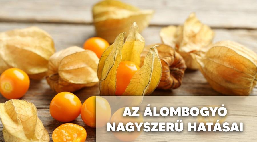 Az álombogyó gyógyhatásai.