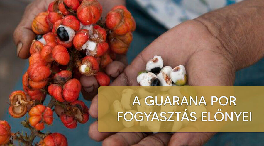 A guarana por fogyasztás előnyei
