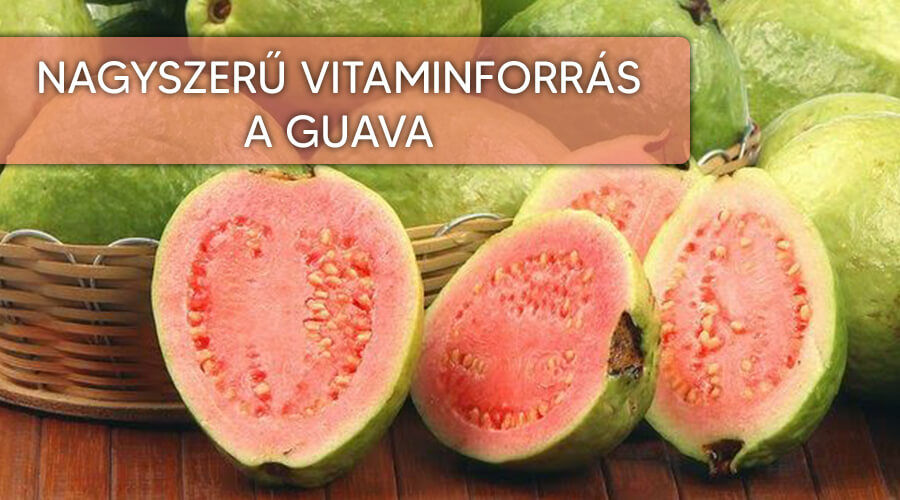 fogyás guava levelekkel