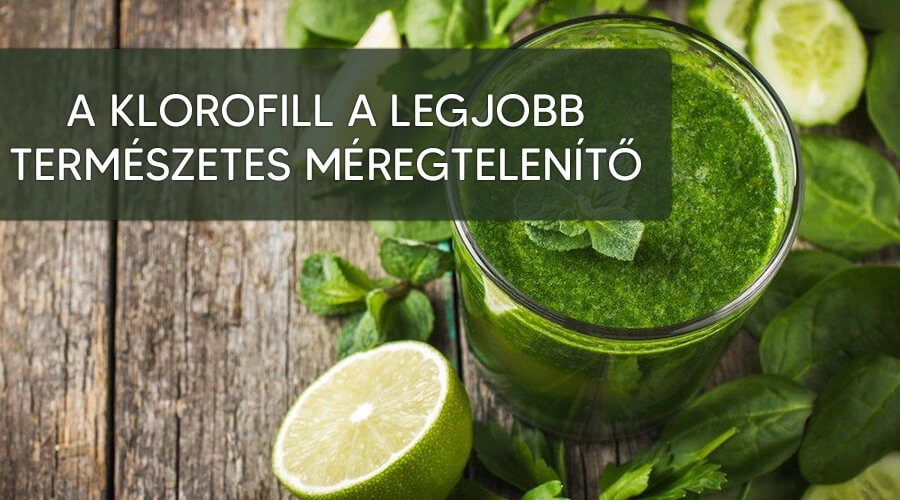 A klorofill fontos hatásai.