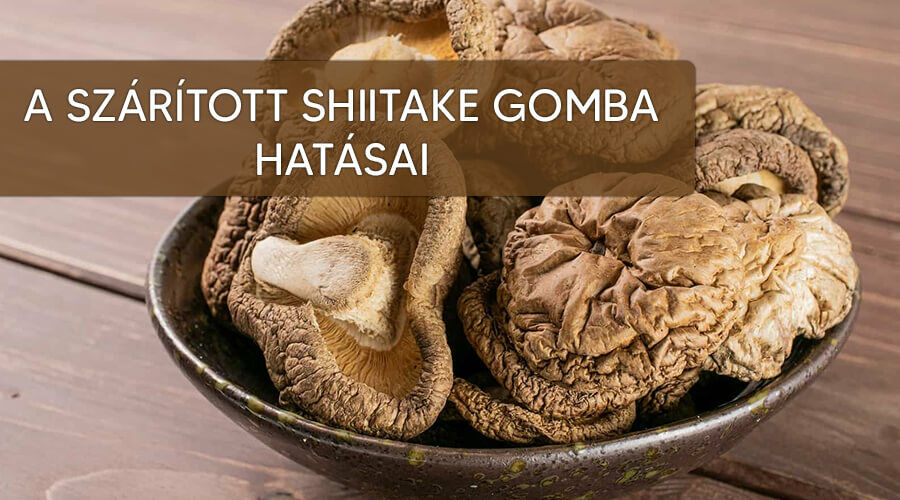 A szárított shiitake gomba is ugyanarra képes mint a friss.
