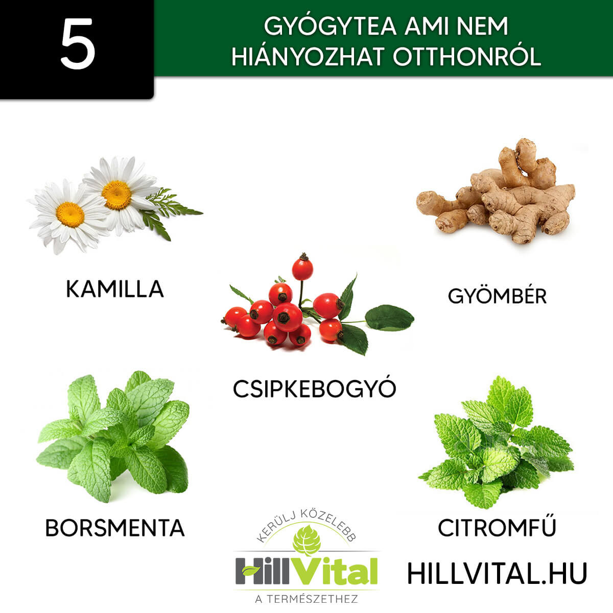 5 hatásos gyógytea ami nem hiányozhat otthonról!