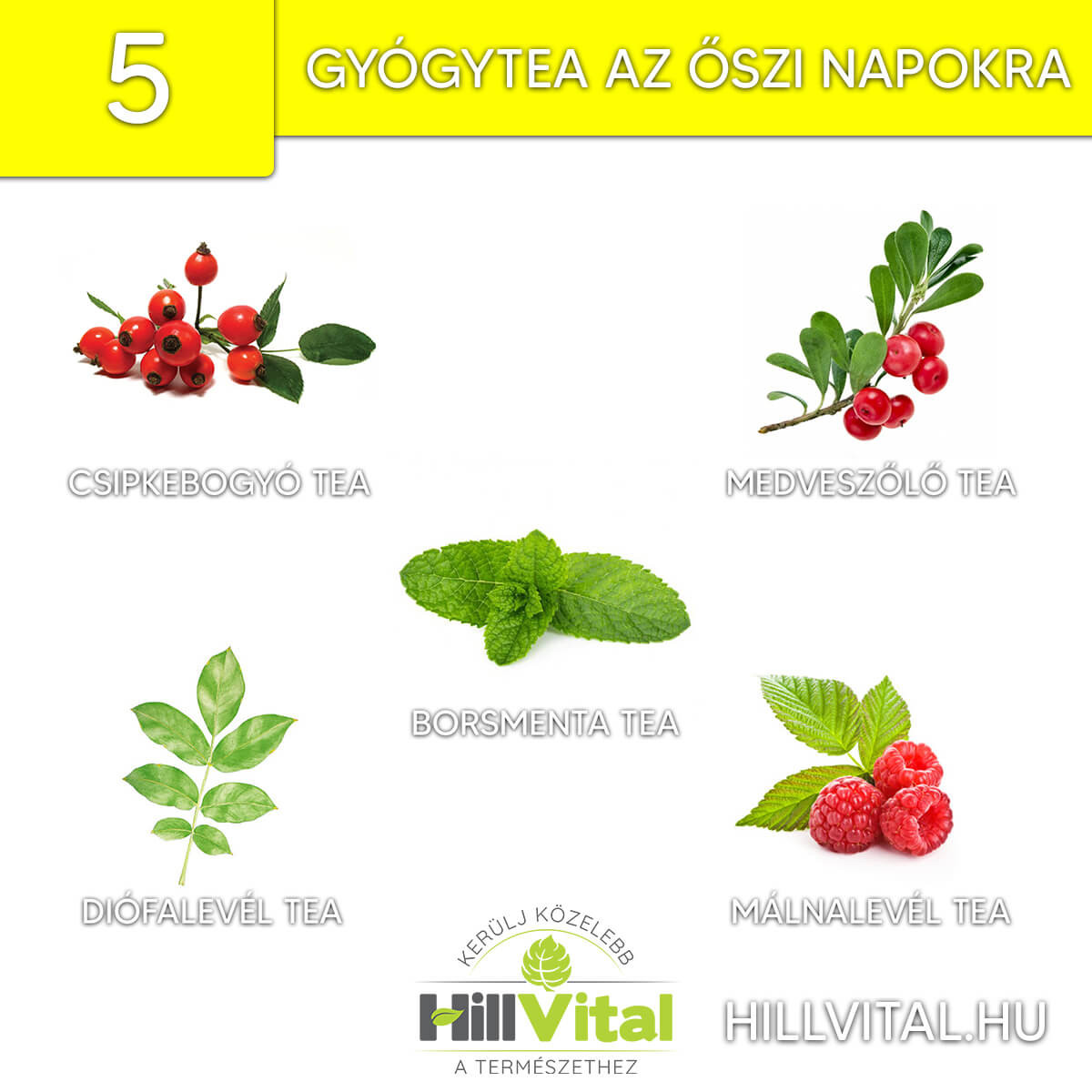 5 tényleg hatásos gyógytea a hideg őszi napokra