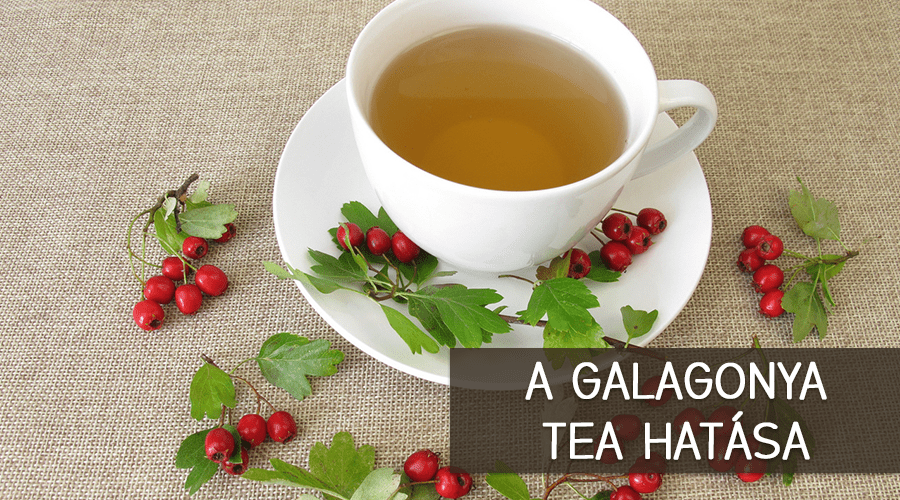 A galagonya tea hatása