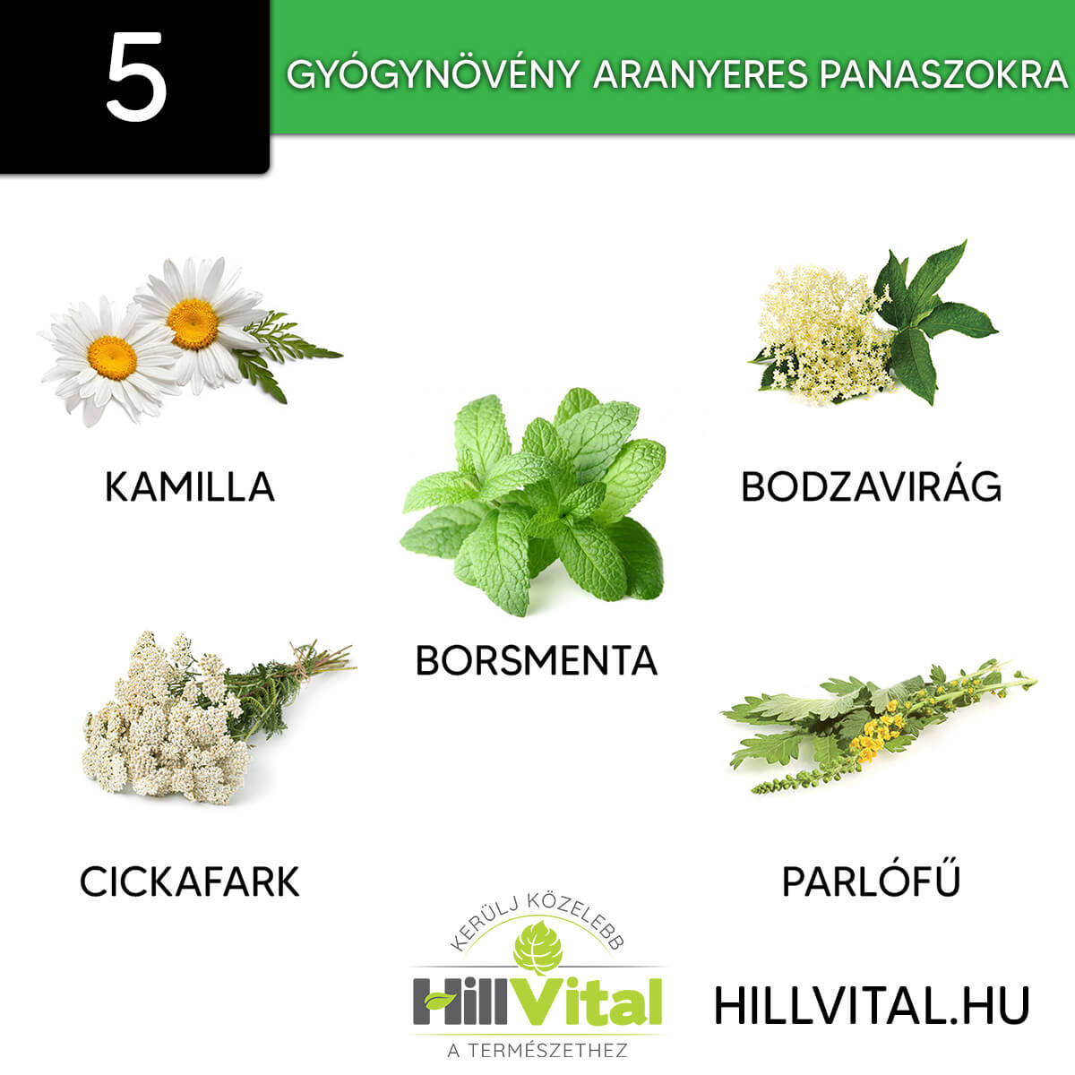 5 kiváló gyógynövény aranyeres panaszokra.