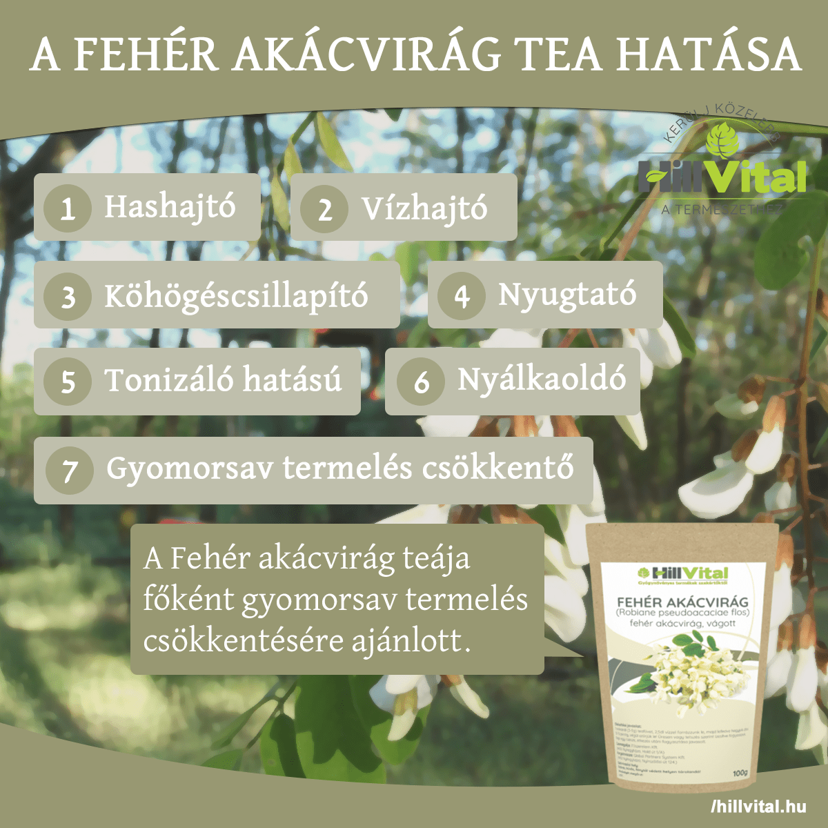 A fehér akácvirág tea képes csökkenteni a gyomorsavat.
