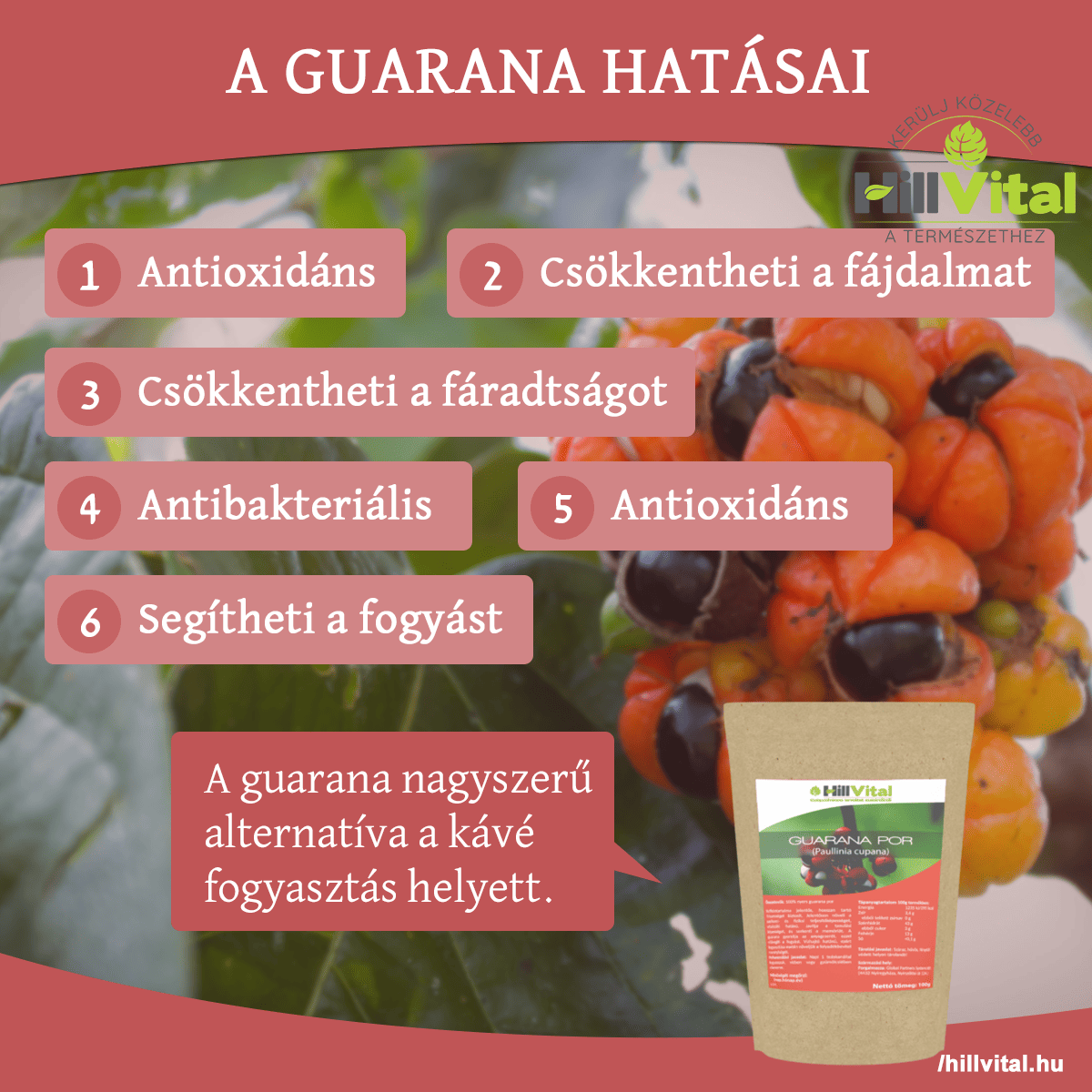 A guarana az egyik legjobb kávépótló