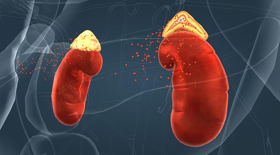 9 signs that something is wrong with your kidneys.