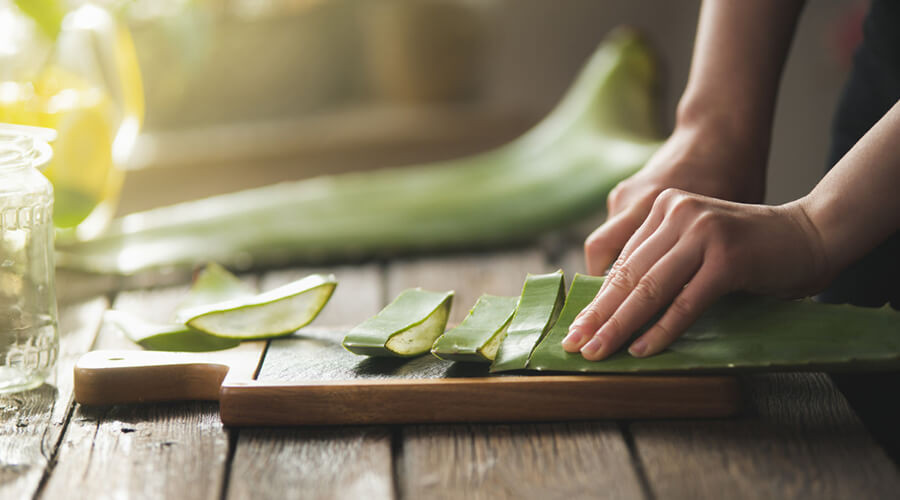Az aloe vera élettani hatásai.