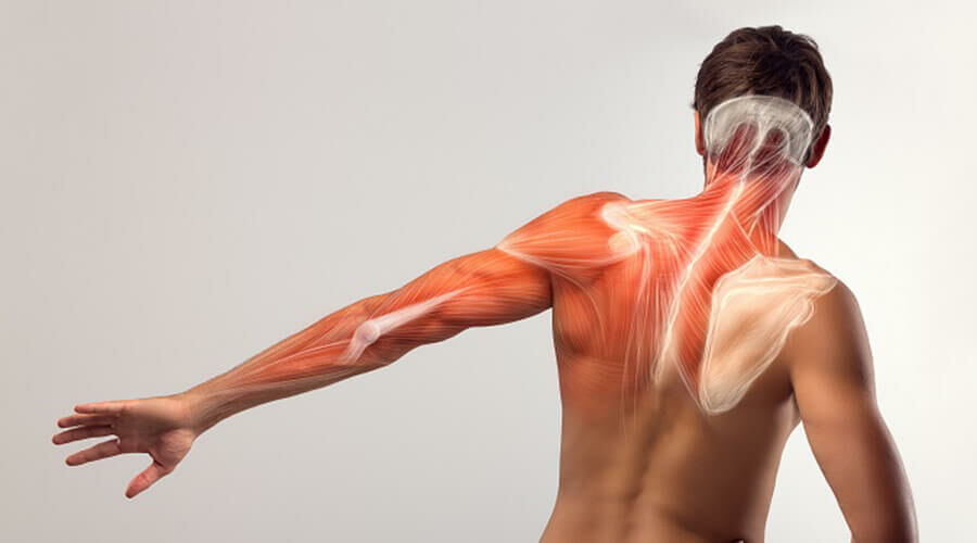 fájdalom a lapockák mögött hátulról az osteoarthritis gyógyítható