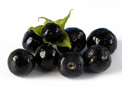 Nadragulya