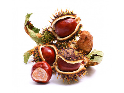 Vadgesztenye