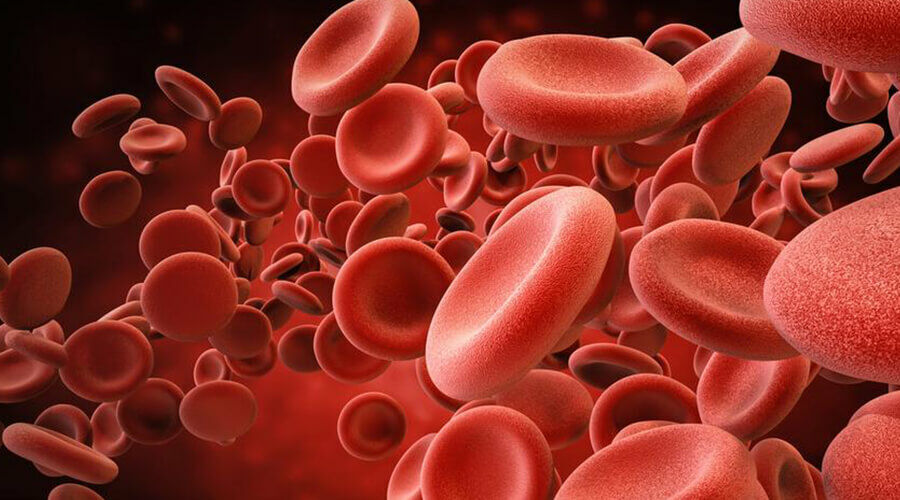 A vas fontos a vörösvérsejtek termelődésében.