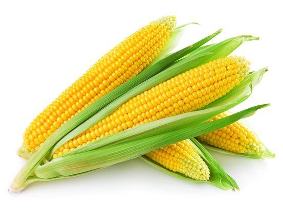 A kukorica