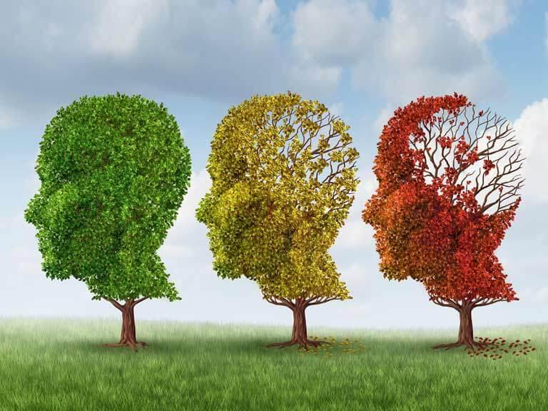 Gyógynövényekkel az alzheimer-kór legyőzése érdekében.