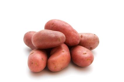 Burgonya Burgonya