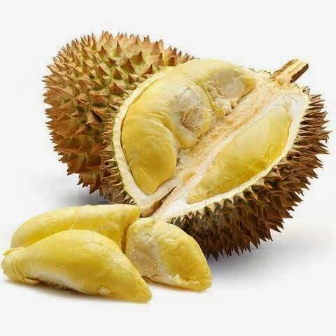A durián is nagyon jó omega-3 zsírforrás.