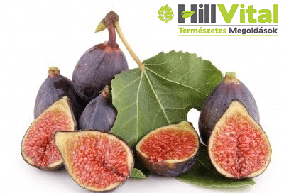 A fügelevéllel, akár a cukorbetegséget és a vérnyomást is kezelheted. Megannyi vitamint és ásványi anyagokat tartalmaz.