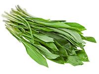 Medvehagyma