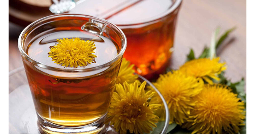 Pitypang gyökér a fogyáshoz - hasznos tulajdonságok és a tea elkészítése