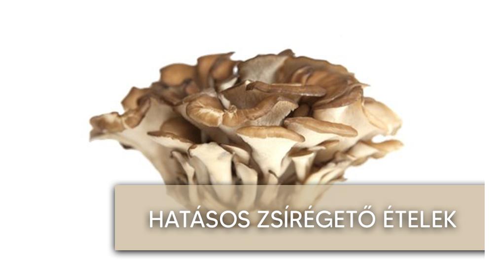 gomba segít a fogyásban zsíros kaki fogyás