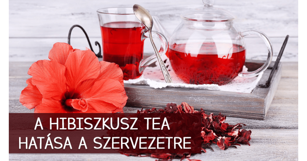 hibiszkusz tea fogyás eredményei)