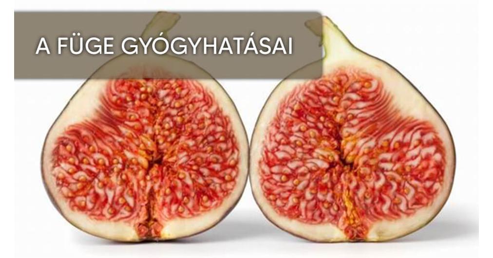 ízületi füge