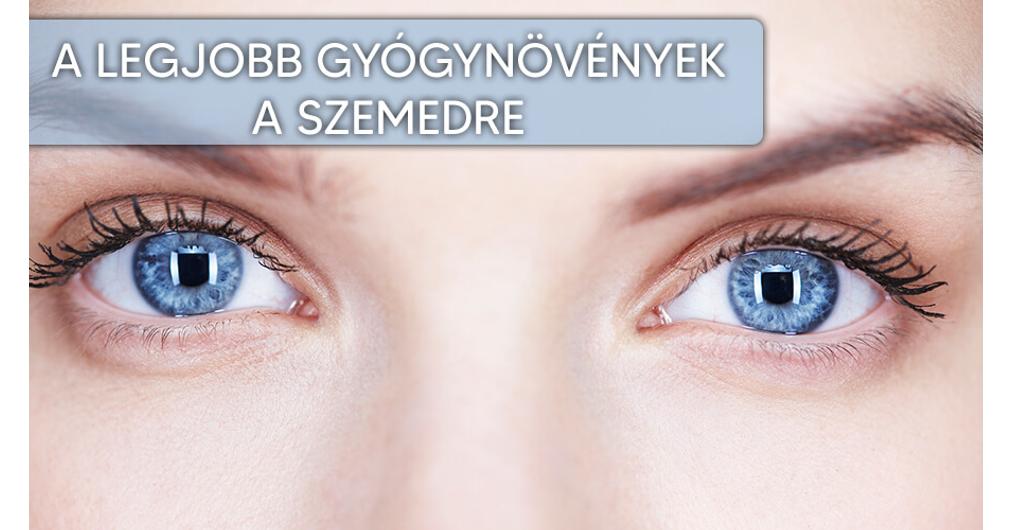 Változások a látószervben kullancsos encephalitis esetén, Tartalom ajánló