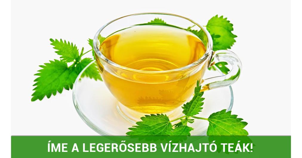 Gyógyító természet