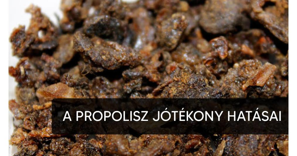 diabétesz kezelésében halott méhek cukor cukorbetegség kezelésének hagyományos módszerek
