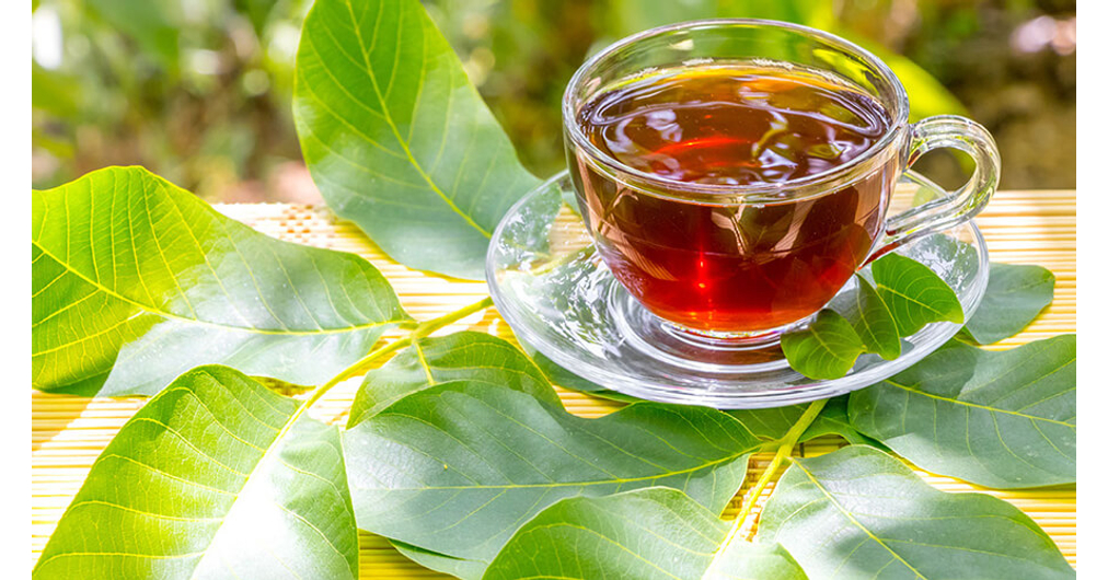Fedezd fel a diófalevél tea egészségügyi előnyeit | HillVital