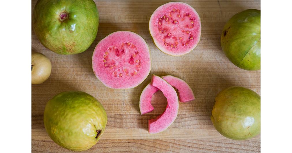 Guava levelek fogyás. Gyomor műtött diéta