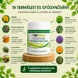 Kép 2/12 - HillVital - Maximum Balzsam