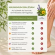 Kép 4/12 - HillVital - Maximum Balzsam